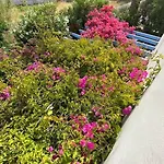 Villa Mariella Sea *
